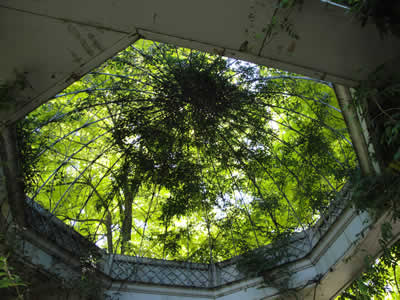 090817_1.jpg