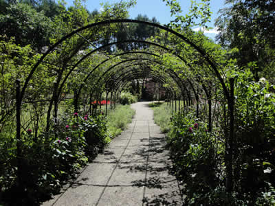 090820_2.jpg