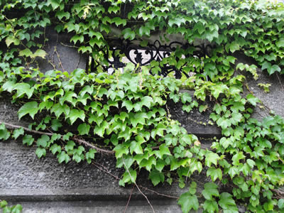 100520_2.jpg