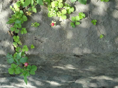 100521_2.jpg