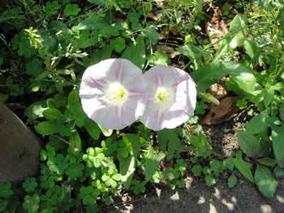 100521_4.jpg