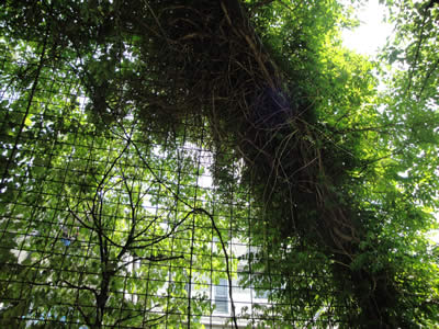 100521_5.jpg