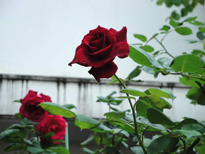 100521_6.jpg