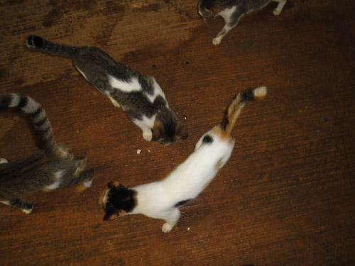 110104_6.jpg