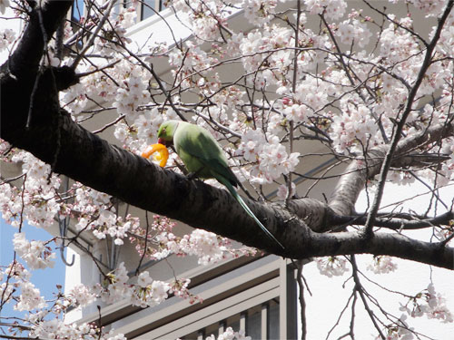 120407_3.jpg
