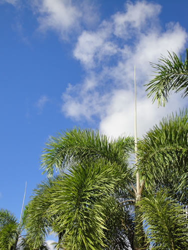 2010gwsaipan03.jpg