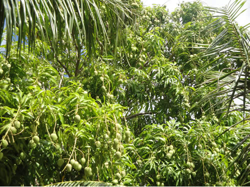 2010gwsaipan14.jpg