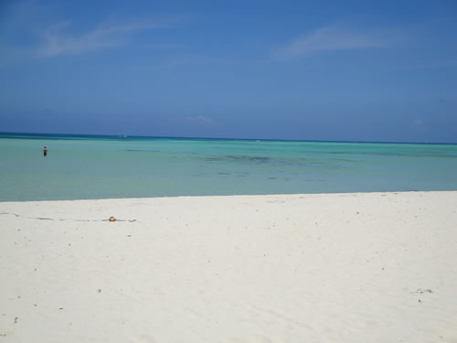 2010gwsaipan22.jpg