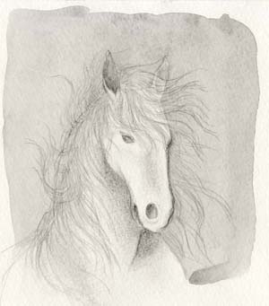 Shadowfax.jpg